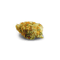Mandarine ♦